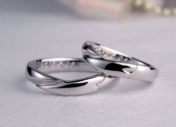 �H�̖͗l�������яオ�錋���w��