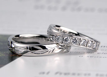 �傫�ȃ_�C�������؂ɓ���ē����̌����w��