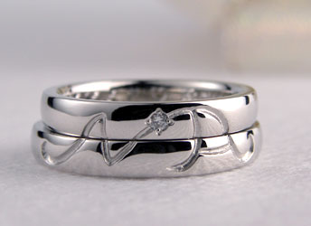 �C�j�V�������q�����������w��