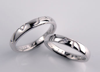 �C�j�V�������q�����������w��