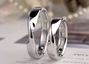 ���r�E�X���]�P�ꌋ���w��