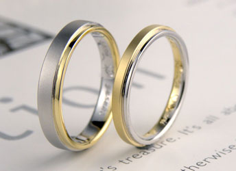 �i���C�G���[�S�[���h�v���`�i�̃R���r�����w��