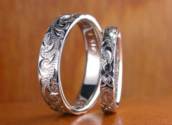 �g�̃n���C�A�����������w��