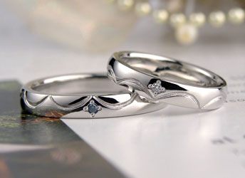 ���[�X�͗l�̎��쒤�茋���w��