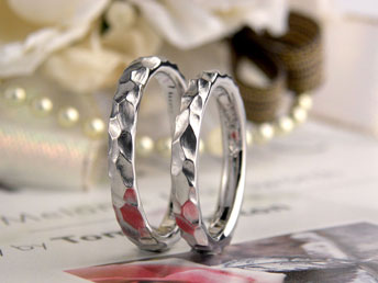 �┧�ʉ��J�W���A�������w��