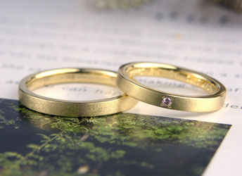 �C�G���[�S�[���h����������w��