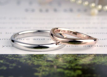 �V���v���v���`�i�s���N�S�[���h�����w��