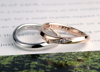 �������R�^�ɂƂ����������w��