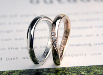 �������R�^�ɂƂ����������w��