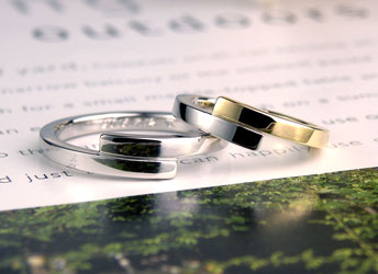 �݂��Ⴂ�ɏd�Ȃ����C�G���[�S�[���h�ƃv���`�i�����w��