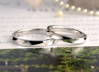 �P�ꂽ������̌����w�փv���`�i