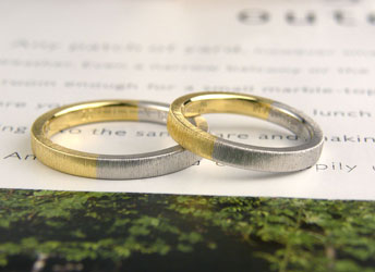 �v���`�i�ƃC�G���[�S�[���h�����R���r�ŃV���N�T�e���d�グ�����w��