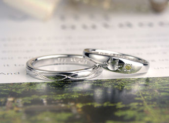 �L�̃V���G�b�g�Ɩ���������쒤��C�G���[�_�C�������w��