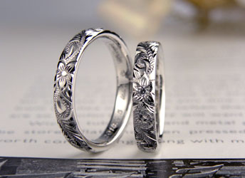 �n���C�A�������_�C�������w��