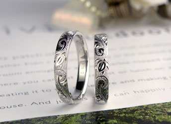 �T�z�k����ꂽ�n���C�A�������w��