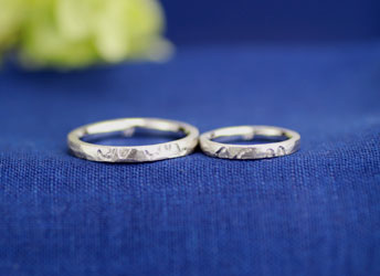 �\�ʓʉ��Ŏ蒤��C�j�V�����������Ԏ��茋���w��