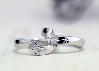 ��̌��������̎��茋���w��