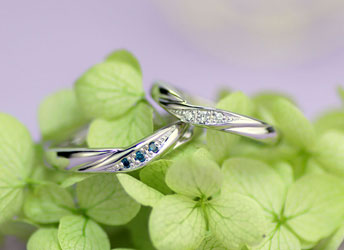 �G���K���g�Ƀu���[�_�C���ƃz���C�g�_�C���̌����w��