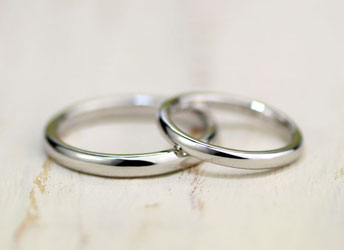 �v���`�i�V���v���b�ی����w��