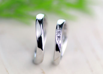 �r���^�̃_�C���G���K���g�Ȏ��茋���w��