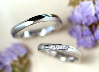 ����������������������n���̂�����茋���w��