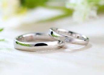 ������̕����ɐ��F�_�C���ł���₩�Ȏ��茋���w��