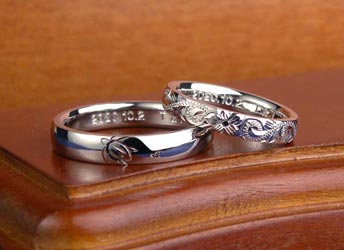 �z�k�E�~�K�����n���C�A�������������茋���w��