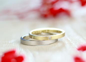 �C�G���[�S�[���h�ƃv���`�i���ł��ɂ�������茋���w��