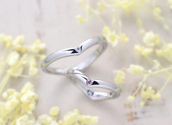 �s���N�_�C���̃n�[�g�V���G�b�g���茋���w��