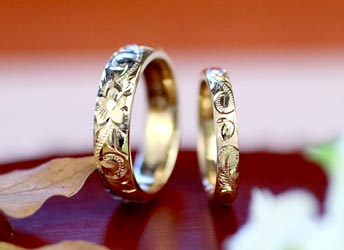 �C�G���[�S�[���h�̃n���C�A���蒤��̌����w��