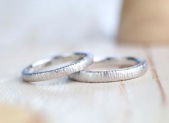 �\�ʂ�����ōׂ���������ꂽ���茋���w��