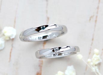 �u���[�_�C���̎��茋���w��