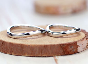 S���^�ɘc�񂾃V���v�����茋���w��