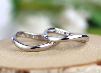 �V���v��S���^���茋���w��